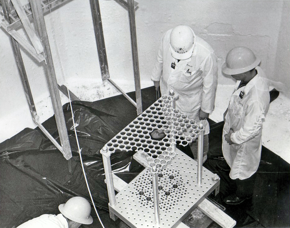 Installation of the TRIGA grid assembly